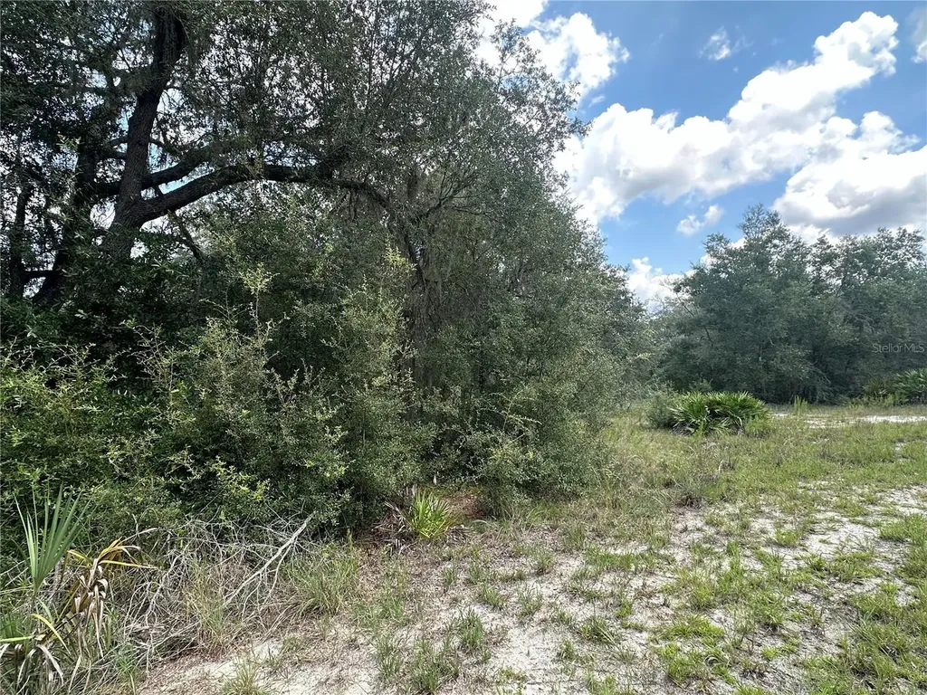 452 453 & W1/2 Lot 451 2208 SW Shorewood Drive Drive Dunnellon FL 34431