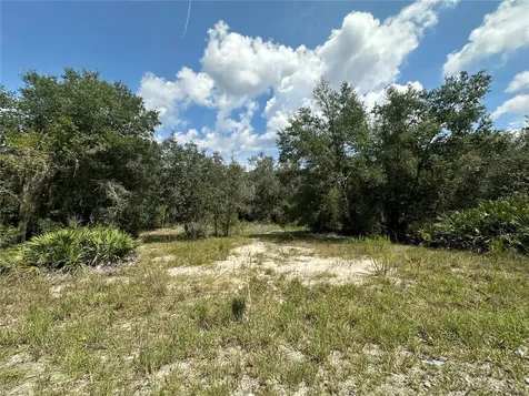 452 453 & W1/2 Lot 451 2208 SW Shorewood Drive Drive Dunnellon FL 34431