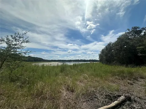 452 453 & W1/2 Lot 451 2208 SW Shorewood Drive Drive Dunnellon FL 34431