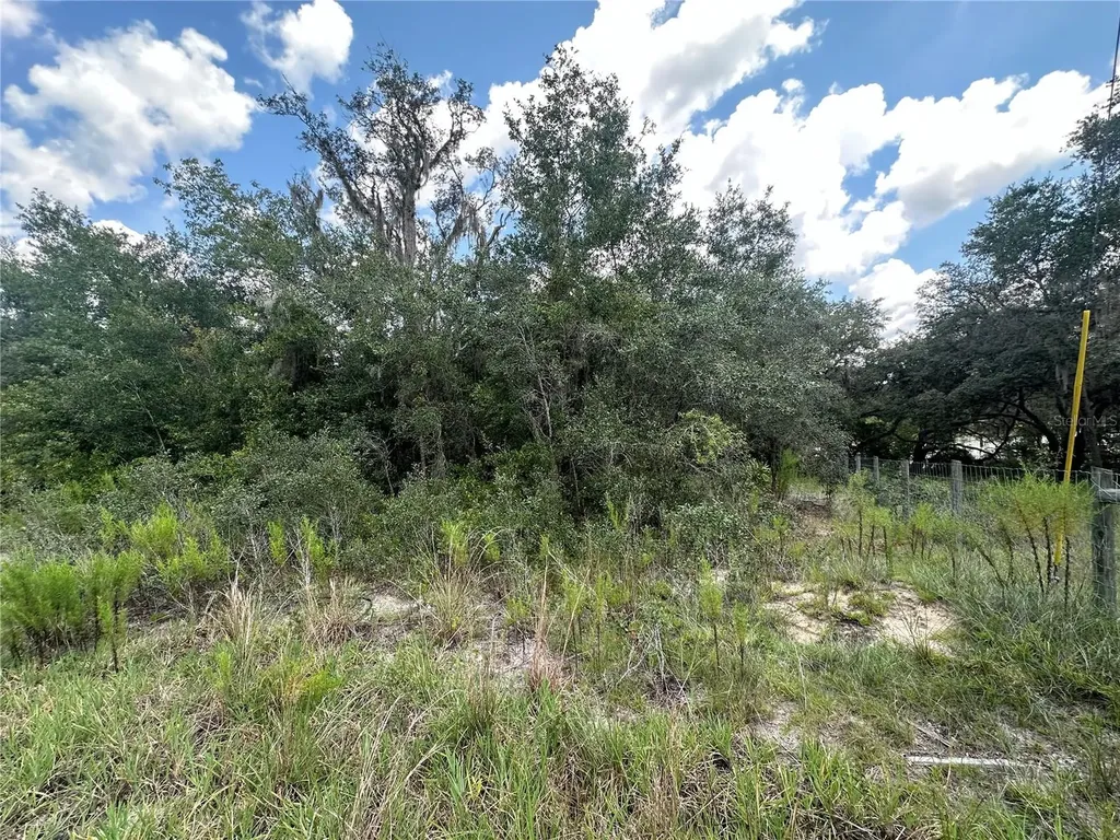 449 450 & E1/2 Lot 451 SW Shorewood Drive Dunnellon FL 34431