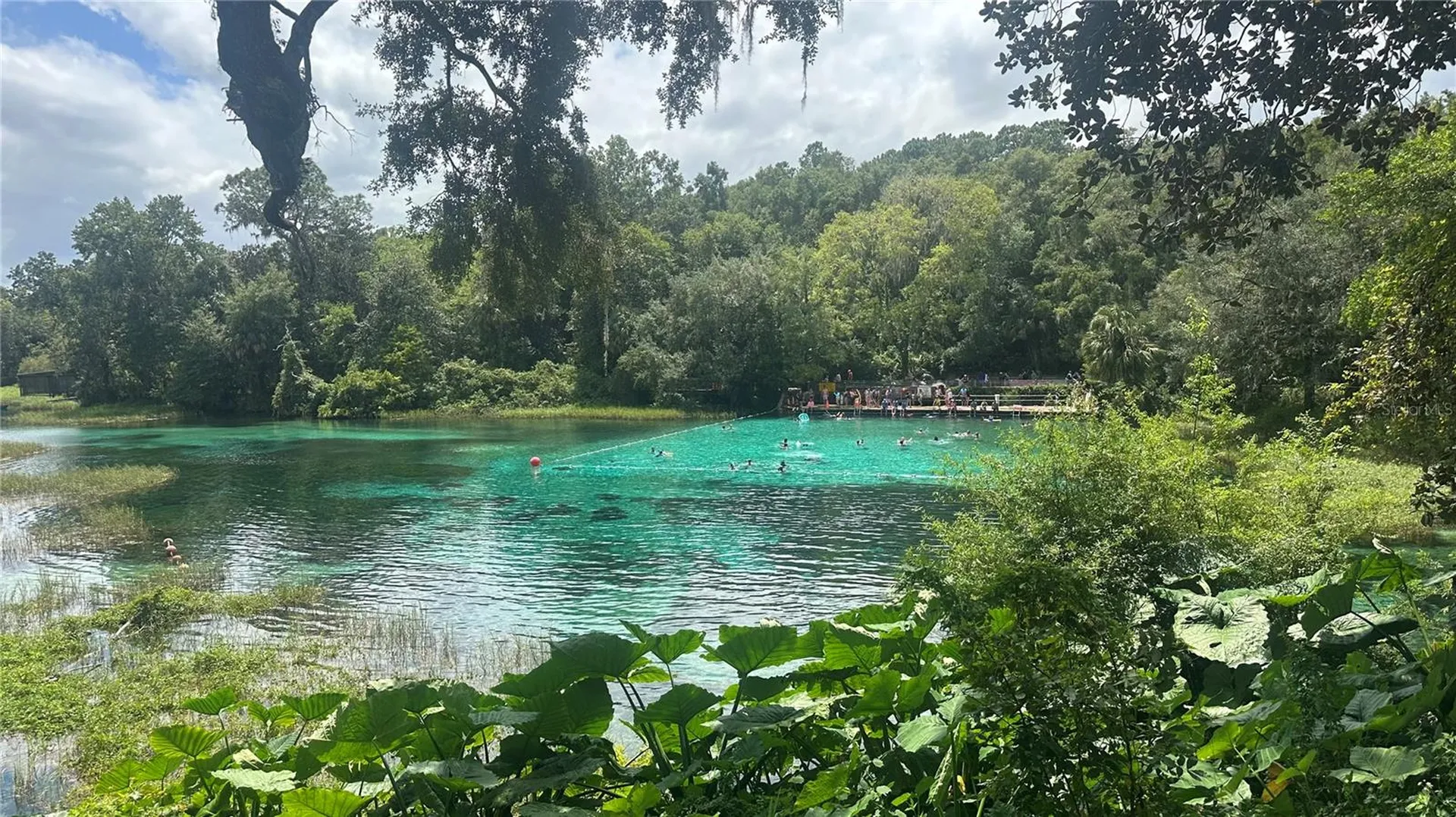 449 450 & E1/2 Lot 451 SW Shorewood Drive Dunnellon FL 34431