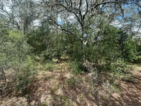 449 450 & E1/2 Lot 451 SW Shorewood Drive Dunnellon FL 34431