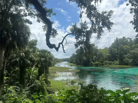 449 450 & E1/2 Lot 451 SW Shorewood Drive Dunnellon FL 34431