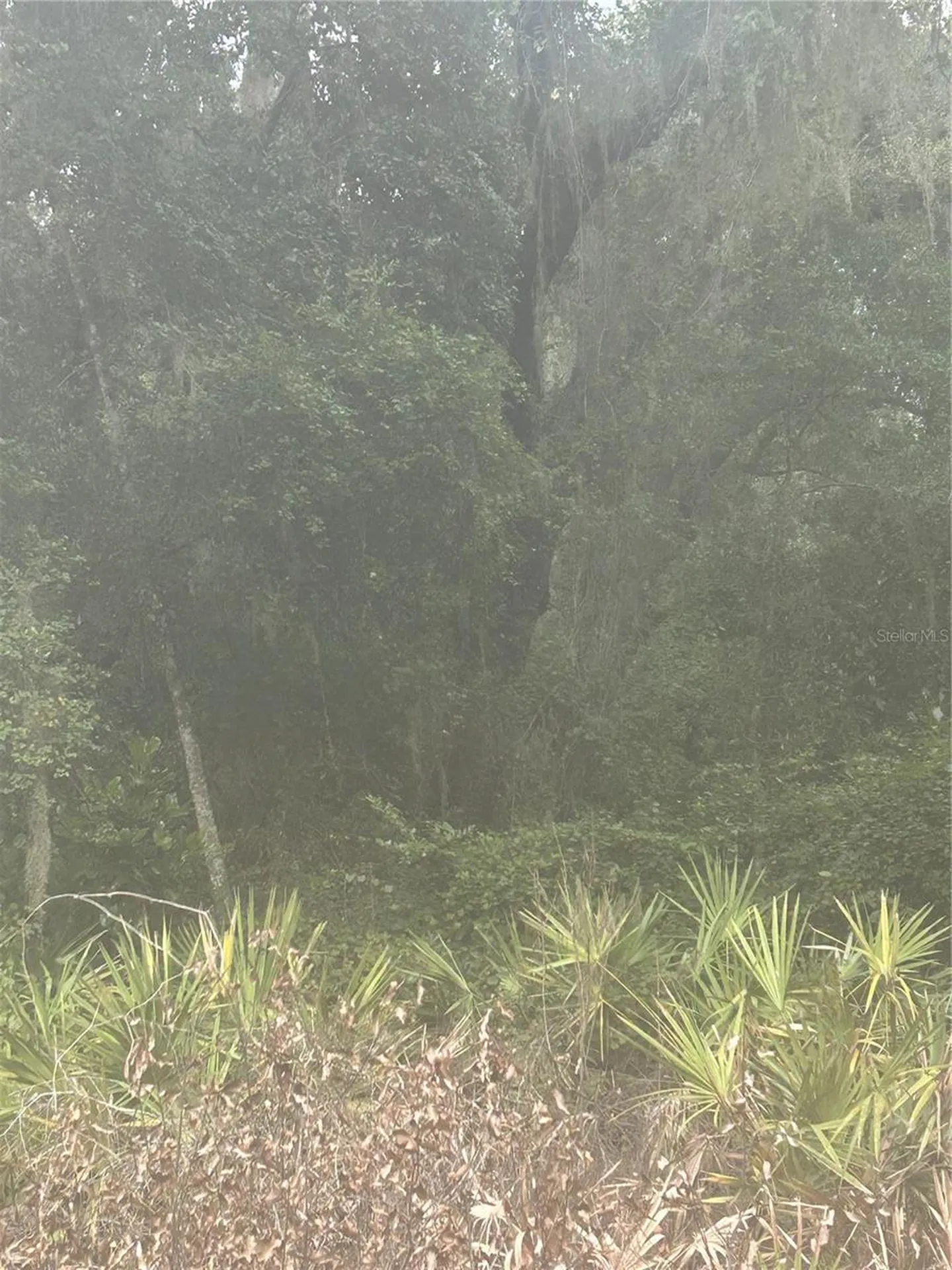 SE 105 Place Ocklawaha FL 32179