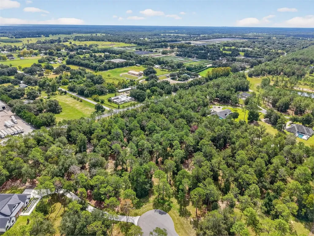 35734 High Pines Drive Eustis FL 32736