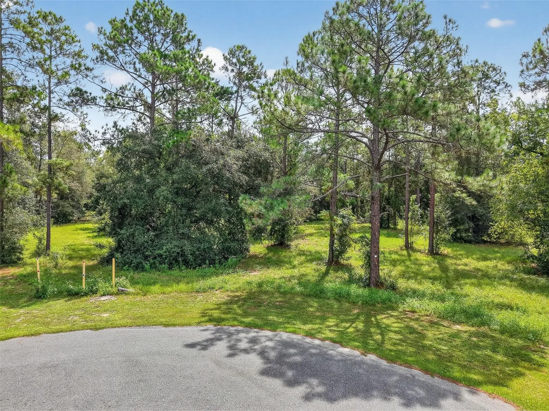 35734 High Pines Drive Eustis FL 32736