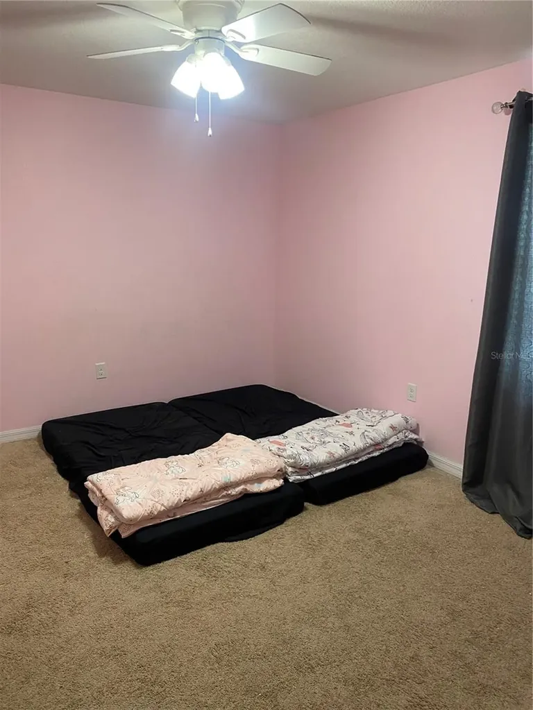 12034 Suburban Sunrise Street Riverview FL 33578