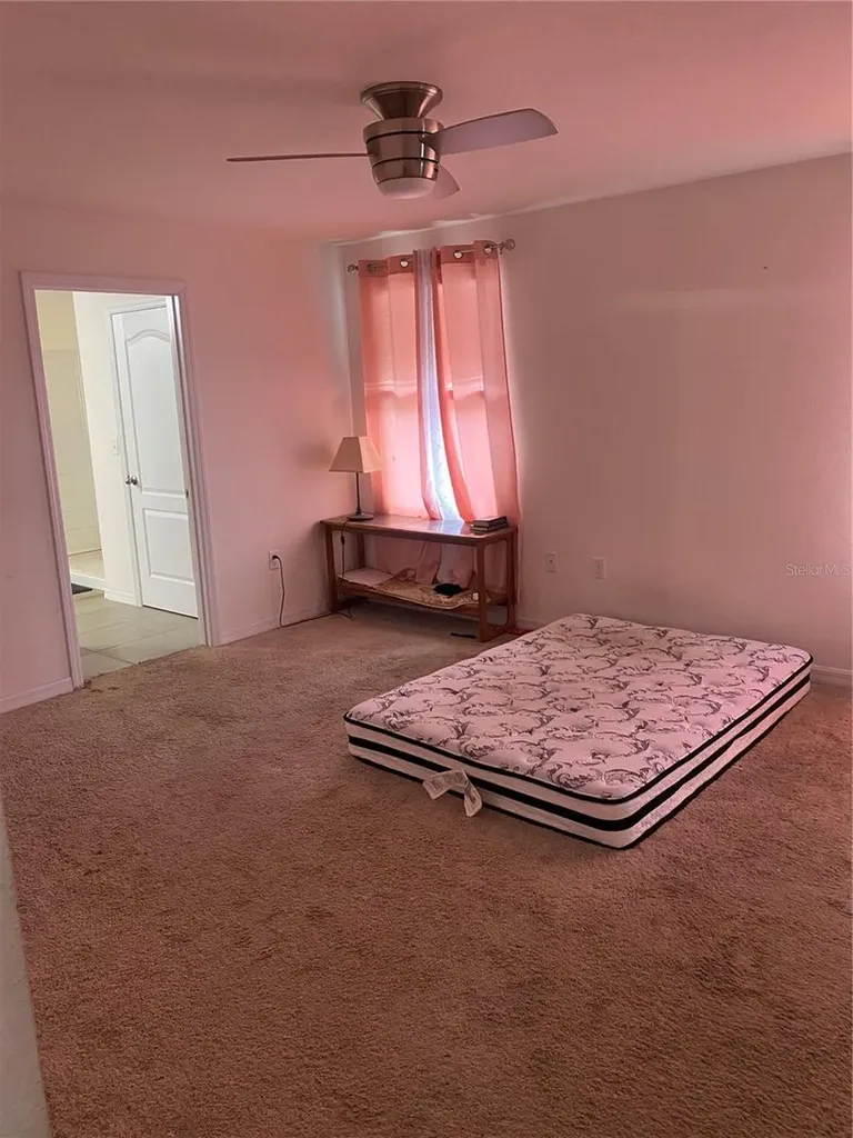 12034 Suburban Sunrise Street Riverview FL 33578
