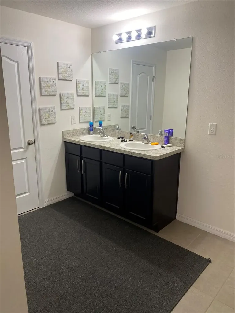 12034 Suburban Sunrise Street Riverview FL 33578