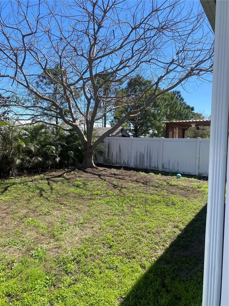 12034 Suburban Sunrise Street Riverview FL 33578