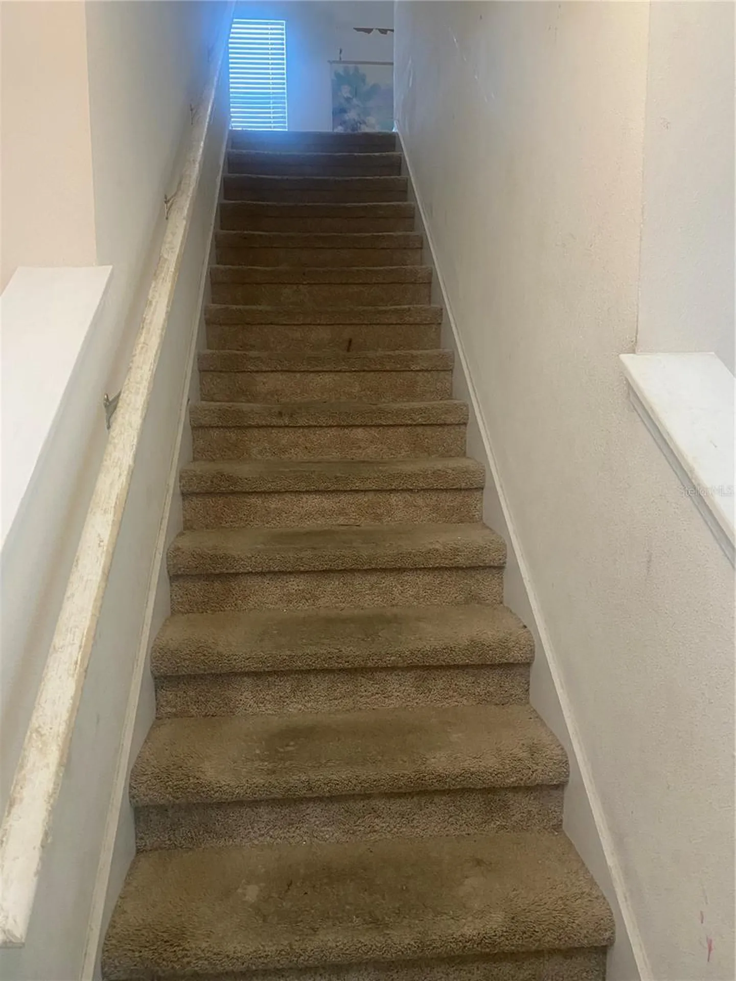 12034 Suburban Sunrise Street Riverview FL 33578