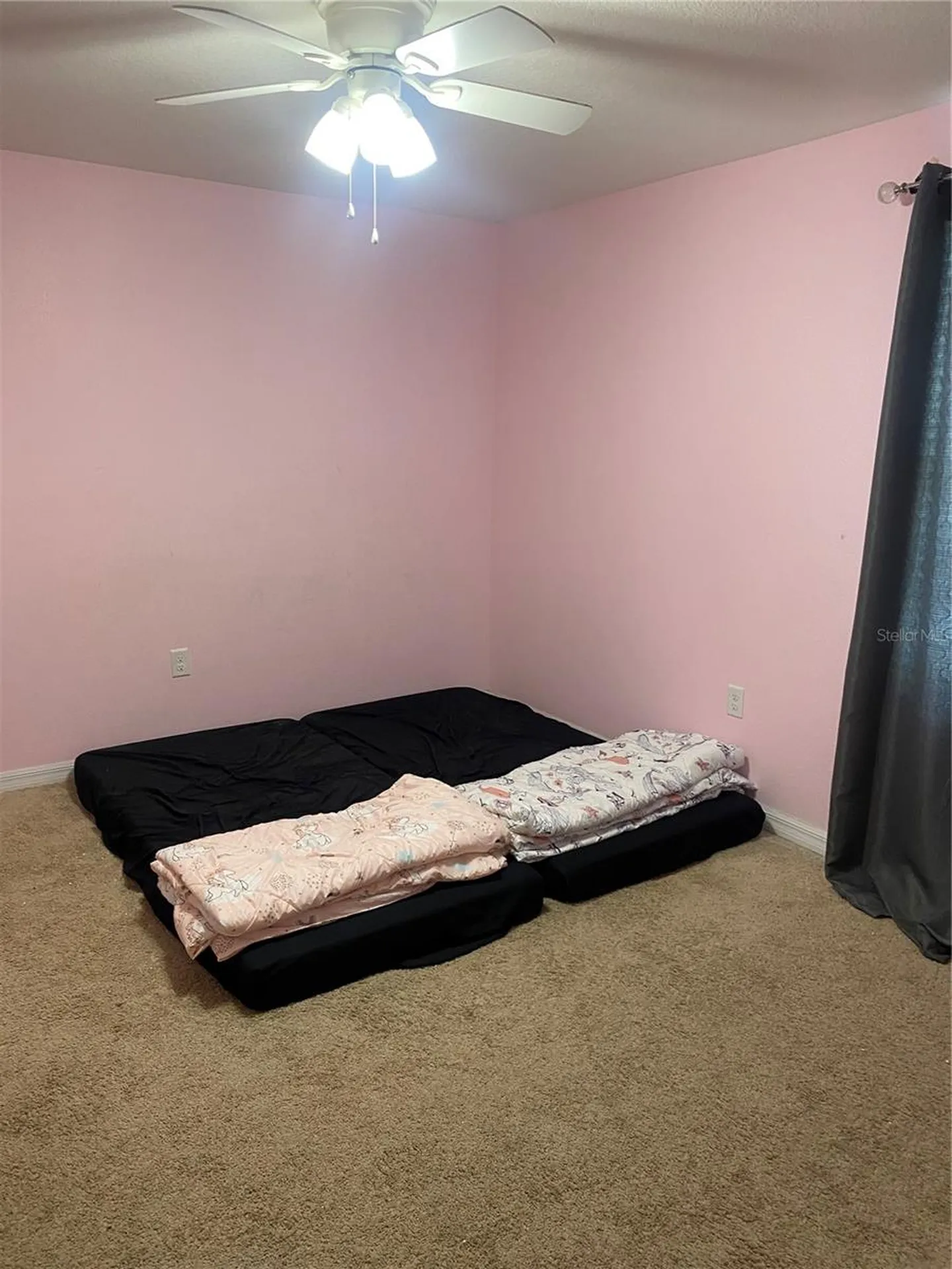 12034 Suburban Sunrise Street Riverview FL 33578