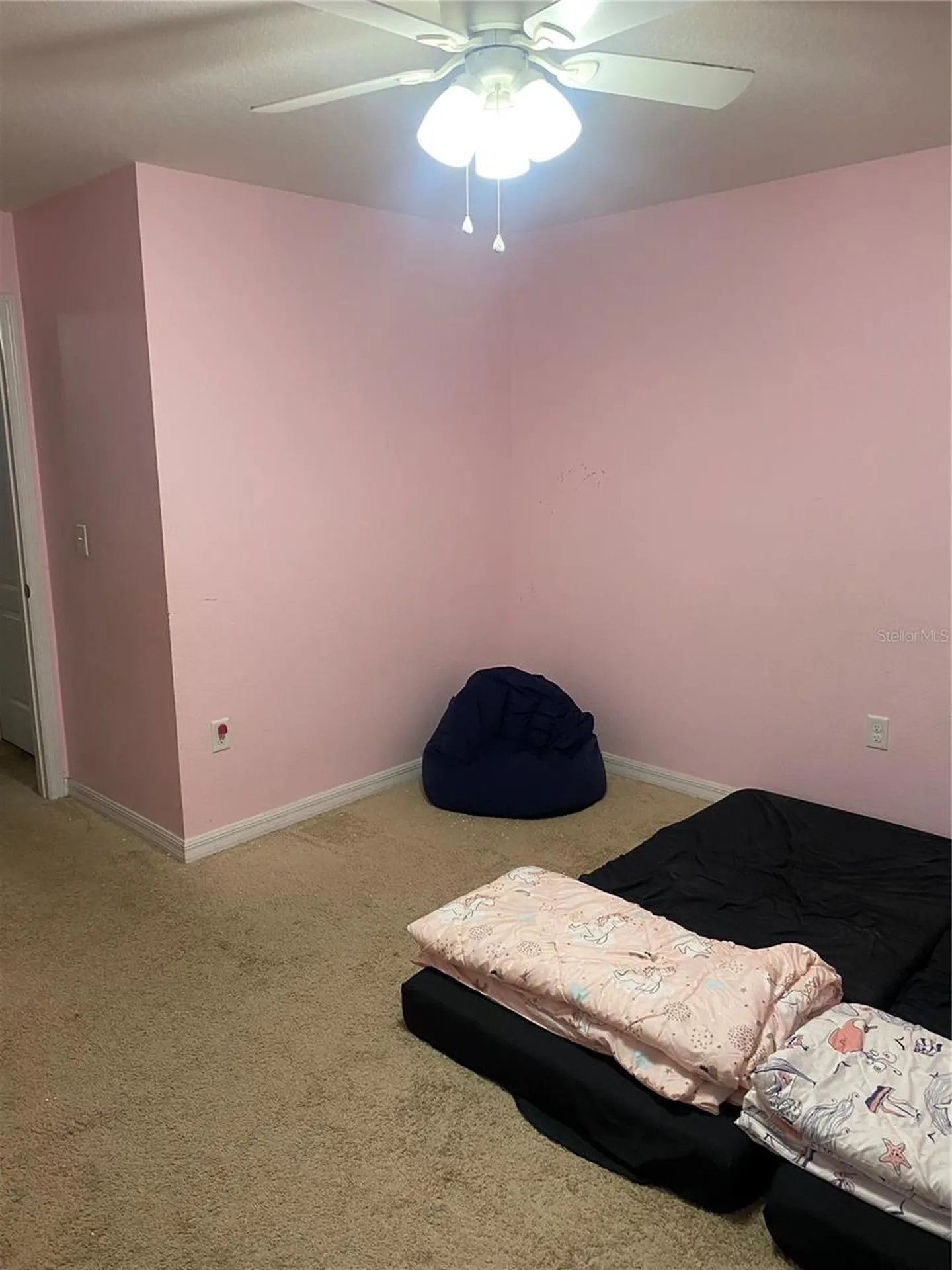 12034 Suburban Sunrise Street Riverview FL 33578