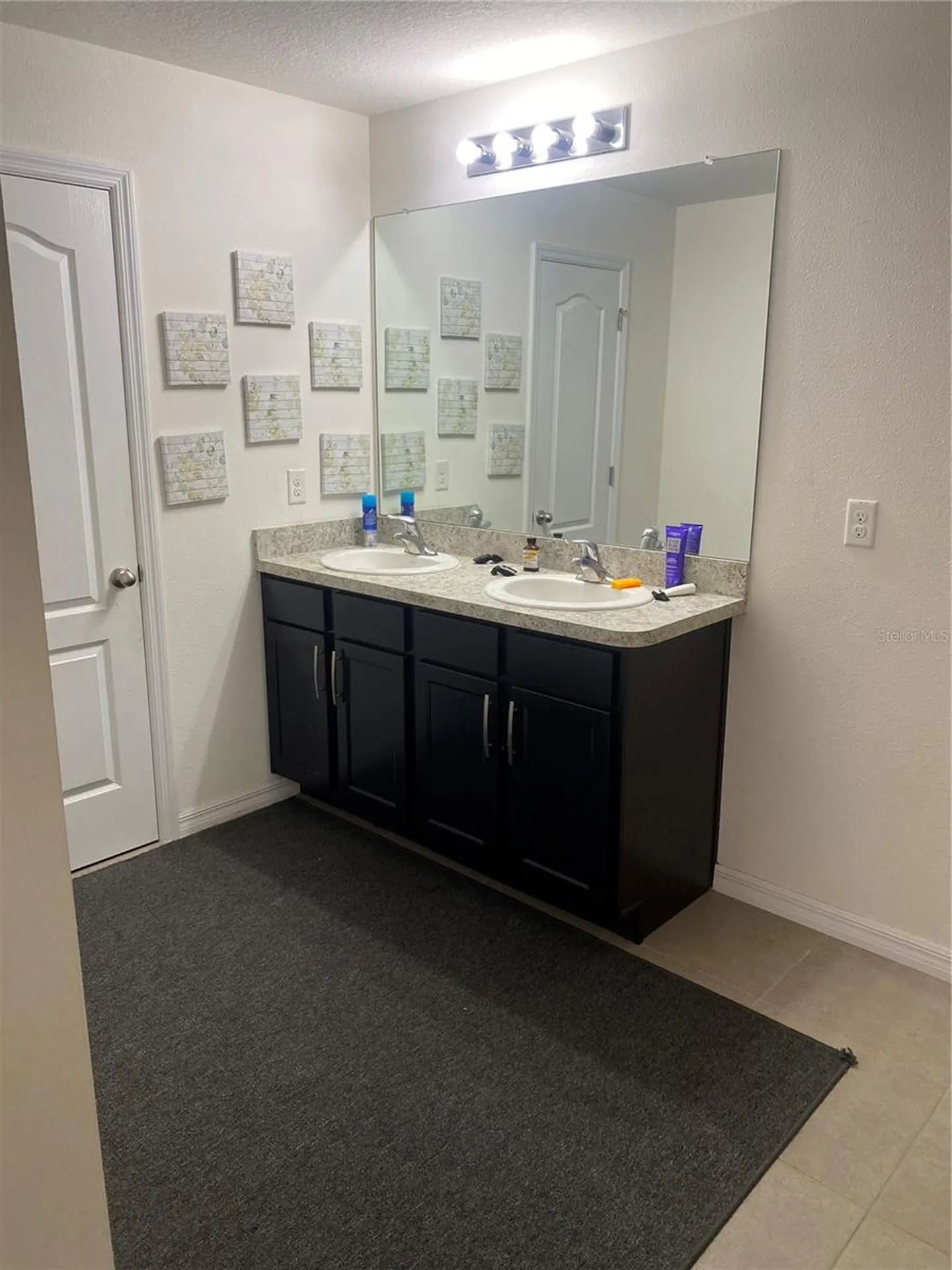 12034 Suburban Sunrise Street Riverview FL 33578