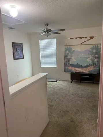 12034 Suburban Sunrise Street Riverview FL 33578
