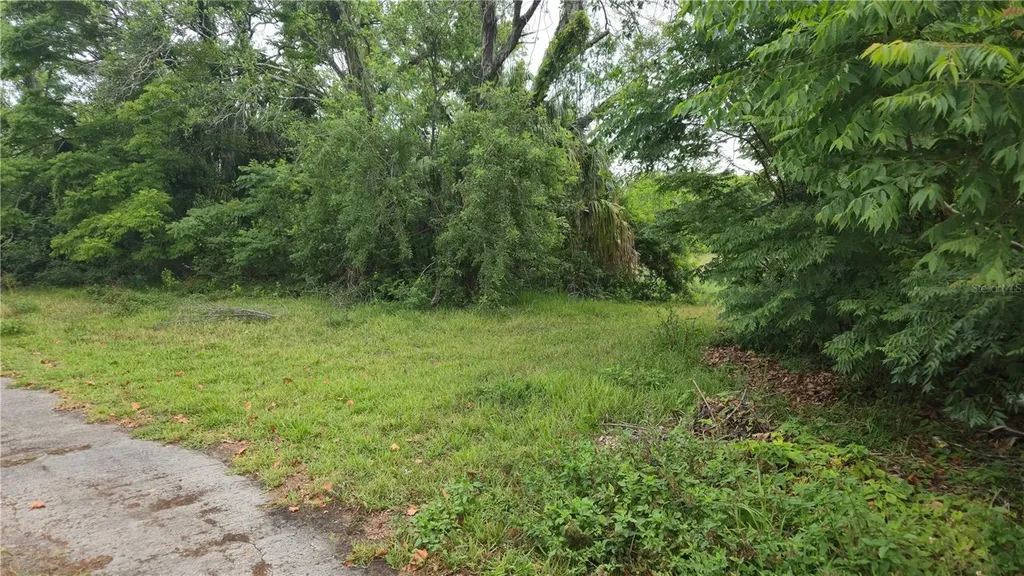 Villa Drive Hudson FL 34667