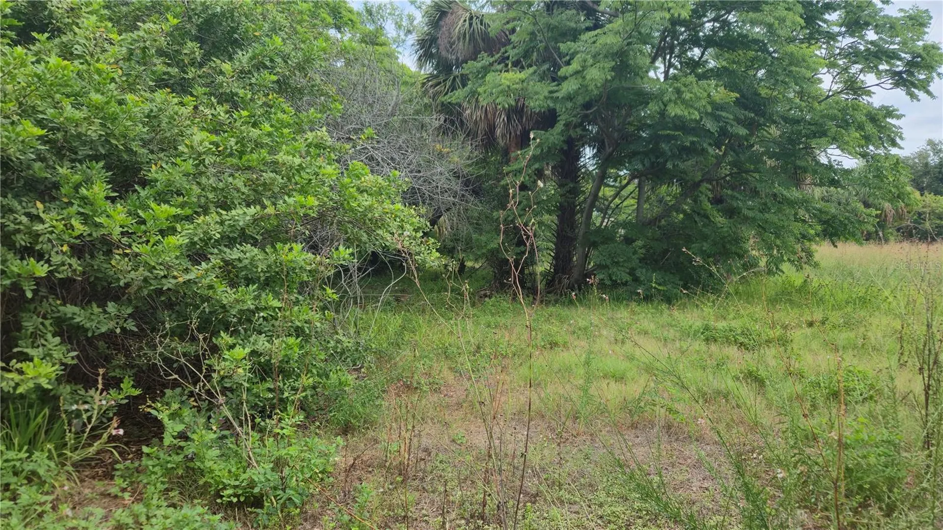 Villa Drive Hudson FL 34667