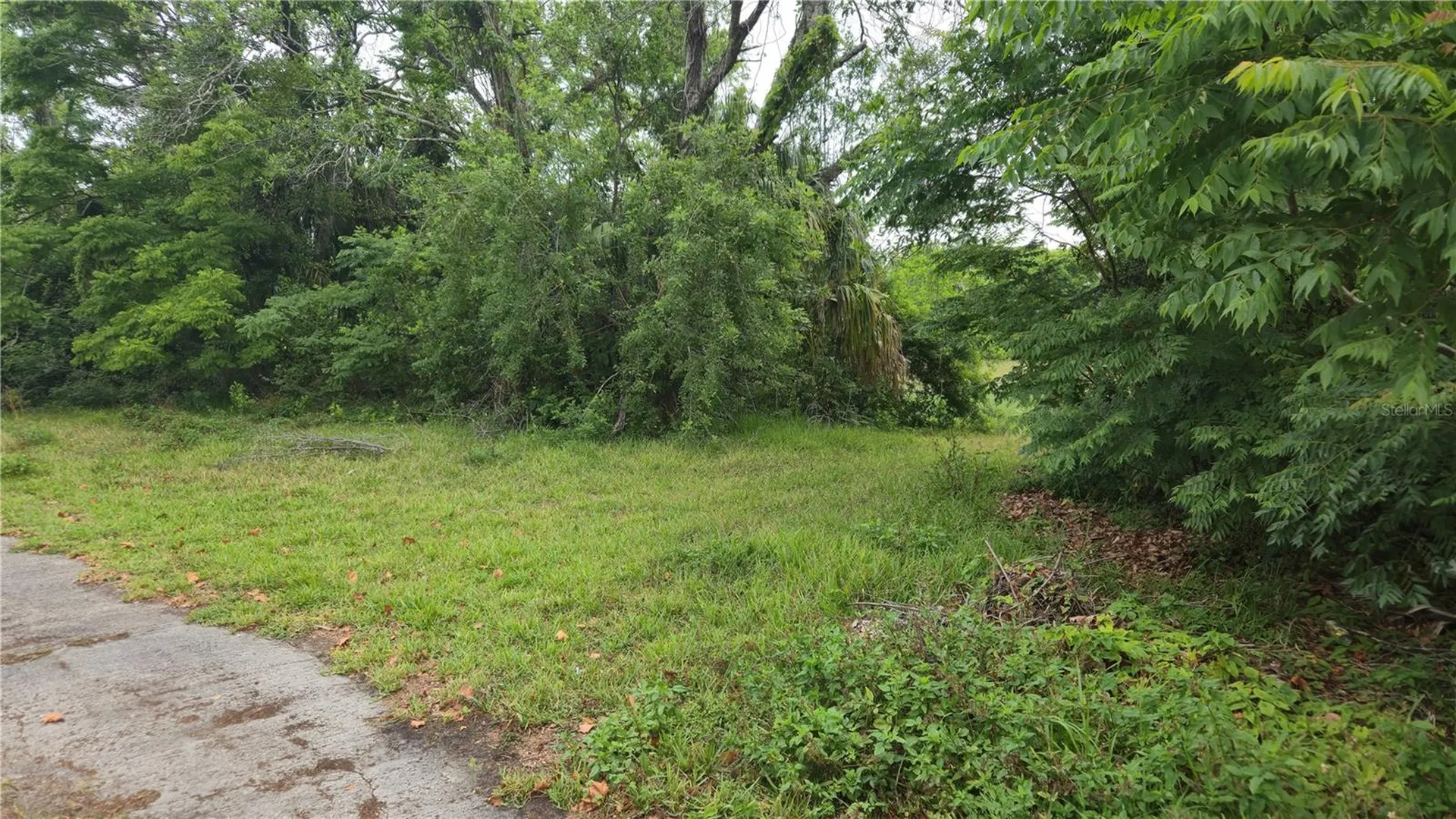 Villa Drive Hudson FL 34667