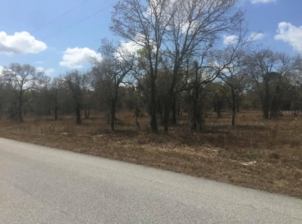 Tbd SW Portulaca Court Dunnellon FL 34431