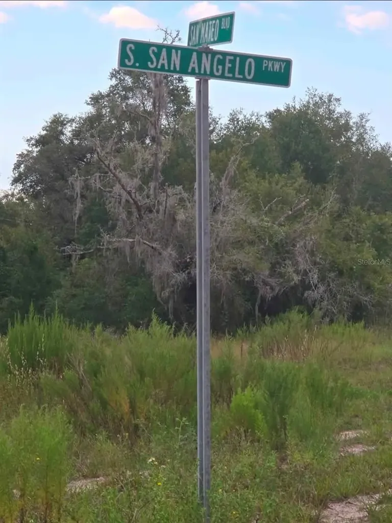 Tbd S San Angelo Parkway Dunnellon FL 34432