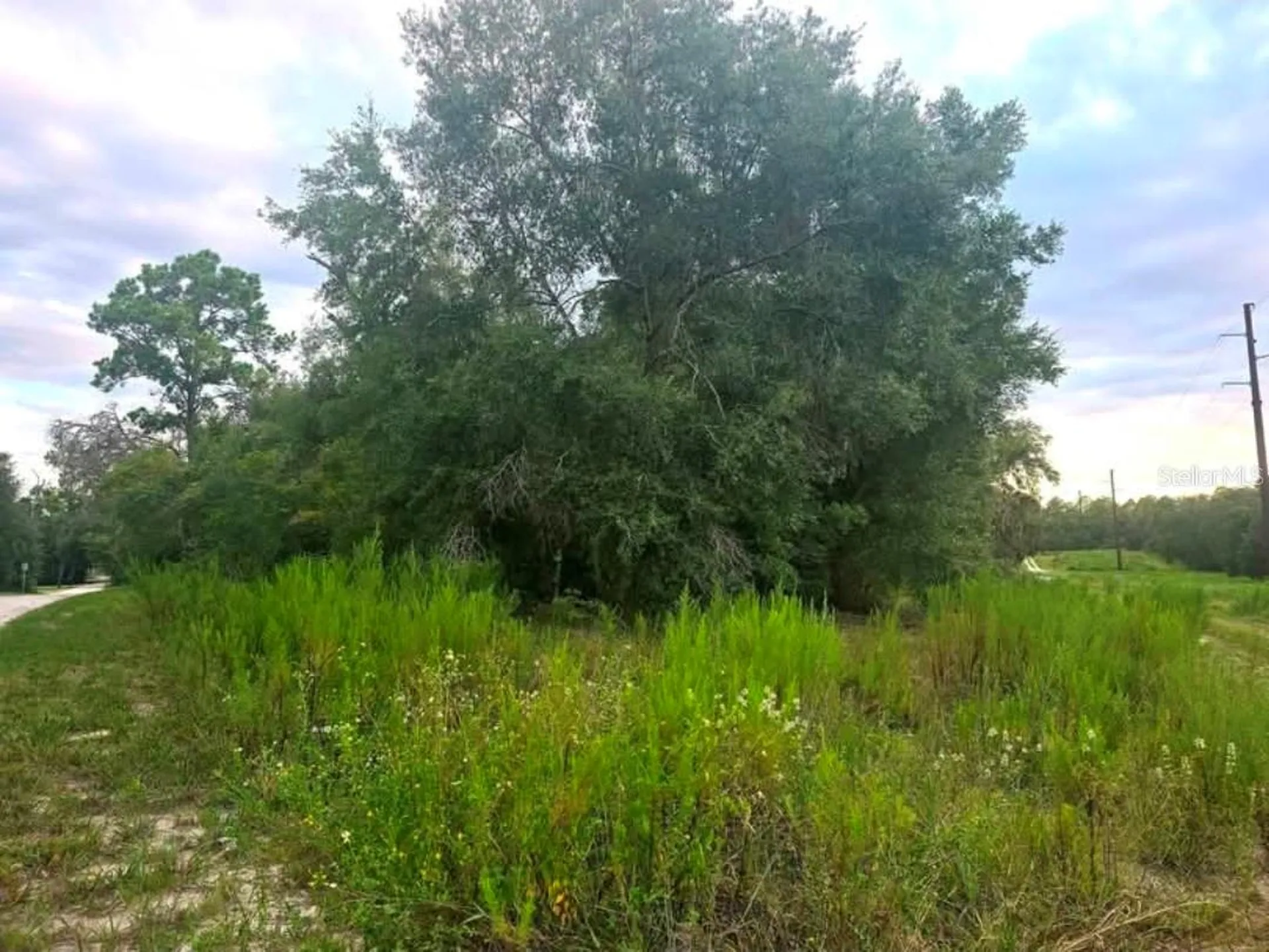 Tbd S San Angelo Parkway Dunnellon FL 34432