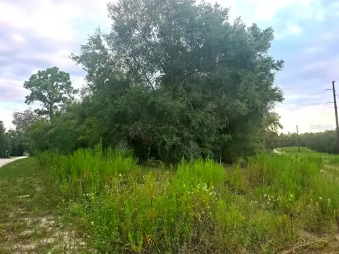 Tbd S San Angelo Parkway Dunnellon FL 34432