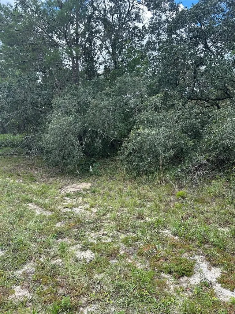 00 SW 27th Circle Ocala FL 34473