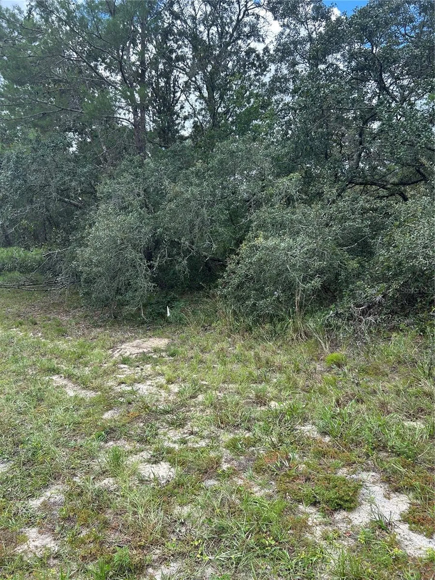 00 SW 27th Circle Ocala FL 34473