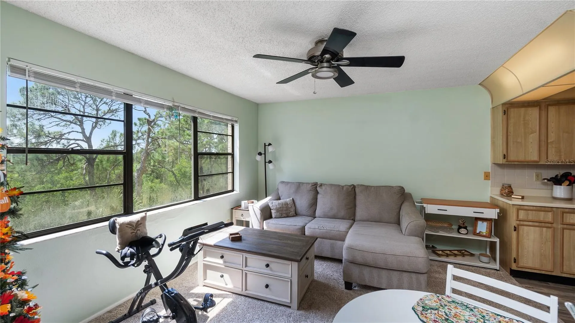 8198 Terrace Garden Drive N St Petersburg FL 33709