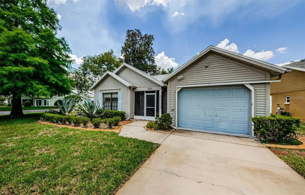 11805 Loblolly Pine Drive New Port Richey FL 34654