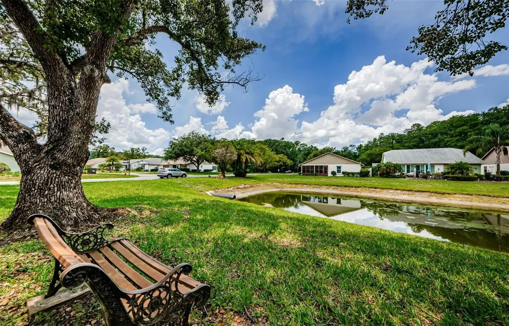 11805 Loblolly Pine Drive New Port Richey FL 34654