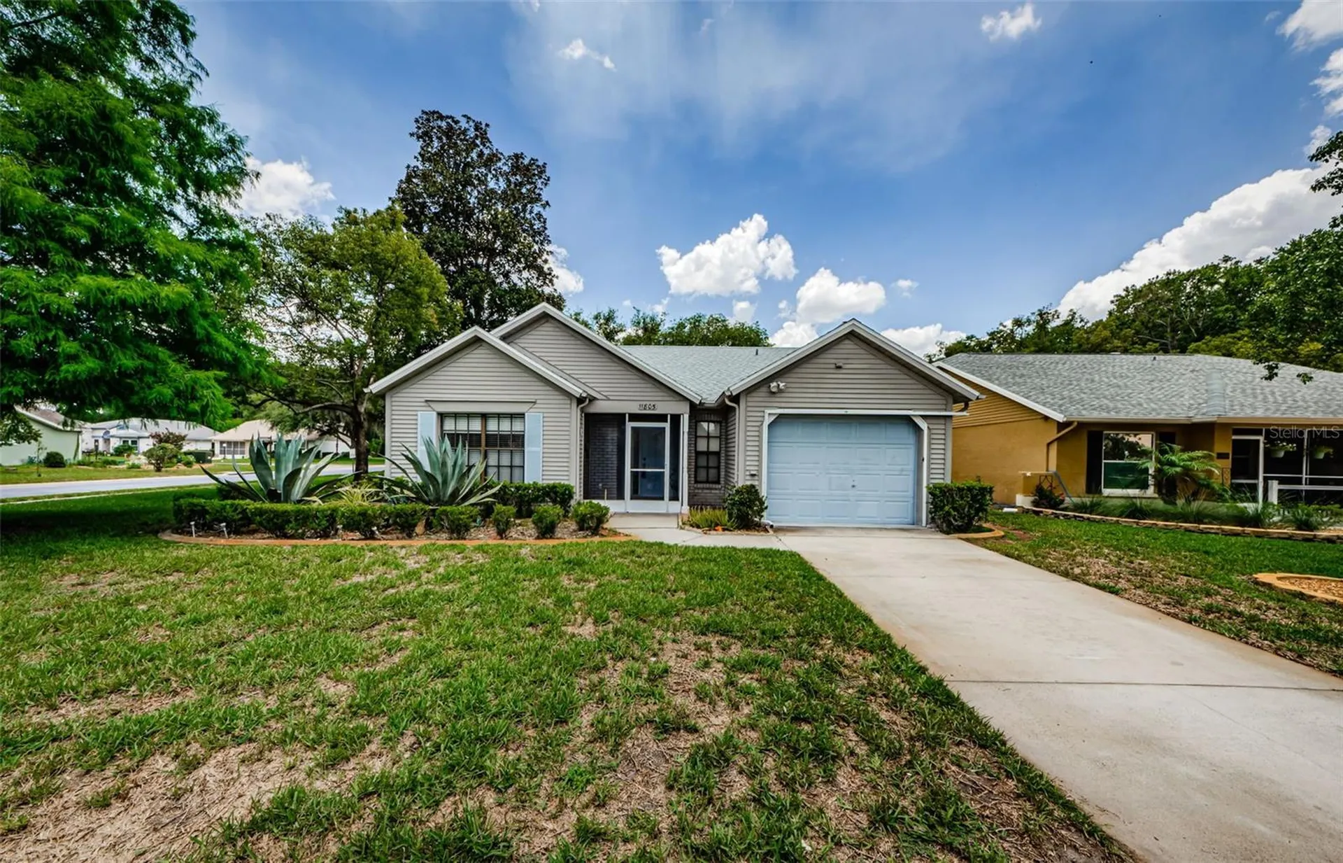 11805 Loblolly Pine Drive New Port Richey FL 34654