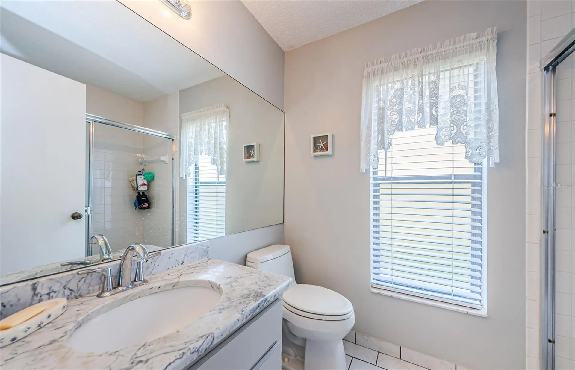 11805 Loblolly Pine Drive New Port Richey FL 34654