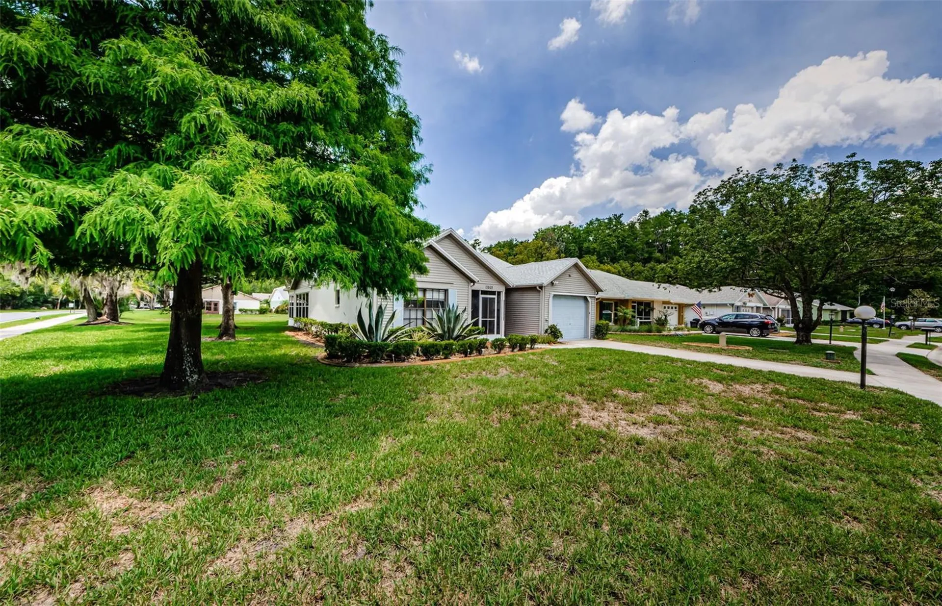 11805 Loblolly Pine Drive New Port Richey FL 34654
