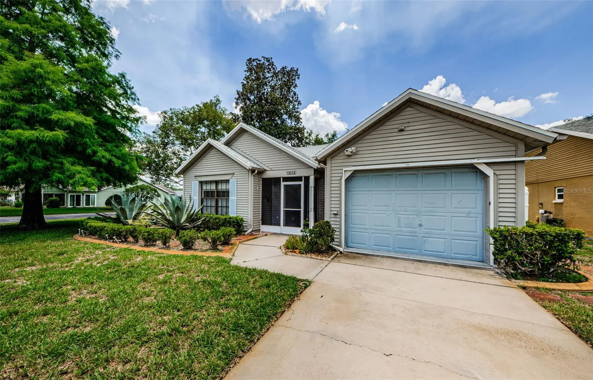 11805 Loblolly Pine Drive New Port Richey FL 34654