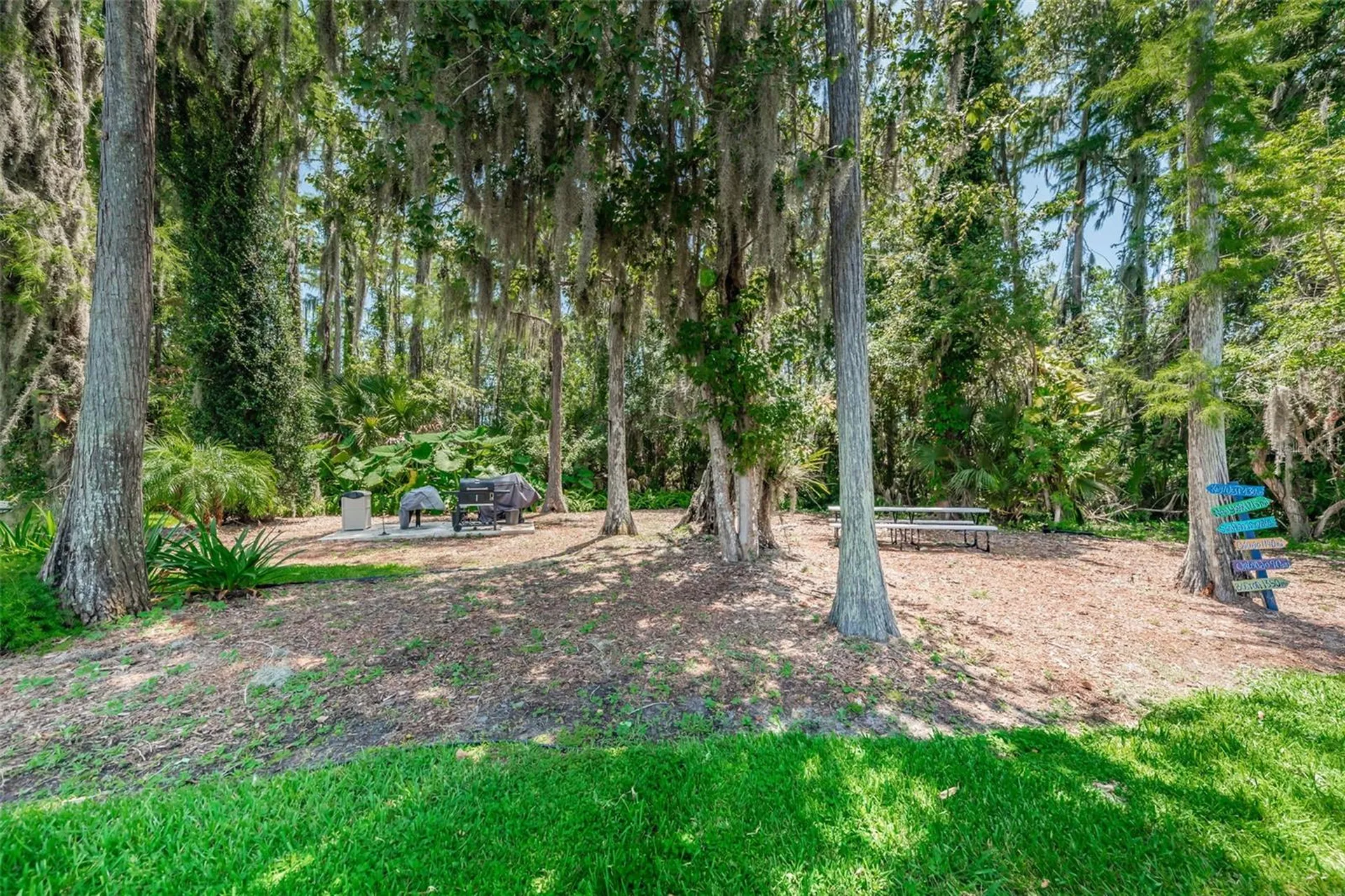 11805 Loblolly Pine Drive New Port Richey FL 34654