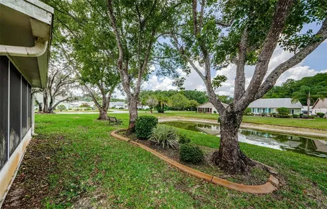 11805 Loblolly Pine Drive New Port Richey FL 34654