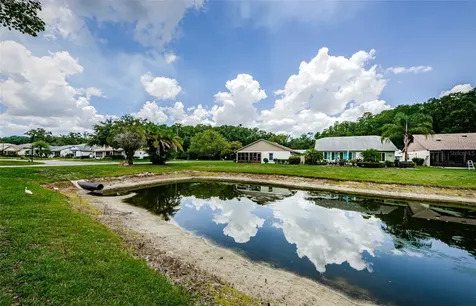 11805 Loblolly Pine Drive New Port Richey FL 34654
