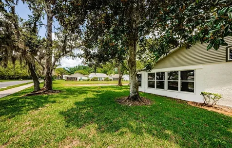 11805 Loblolly Pine Drive New Port Richey FL 34654
