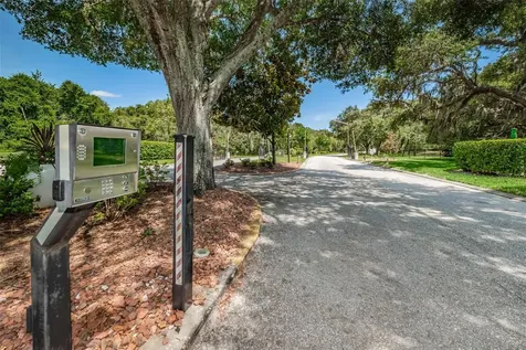11805 Loblolly Pine Drive New Port Richey FL 34654