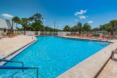 11805 Loblolly Pine Drive New Port Richey FL 34654