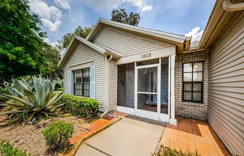 11805 Loblolly Pine Drive New Port Richey FL 34654