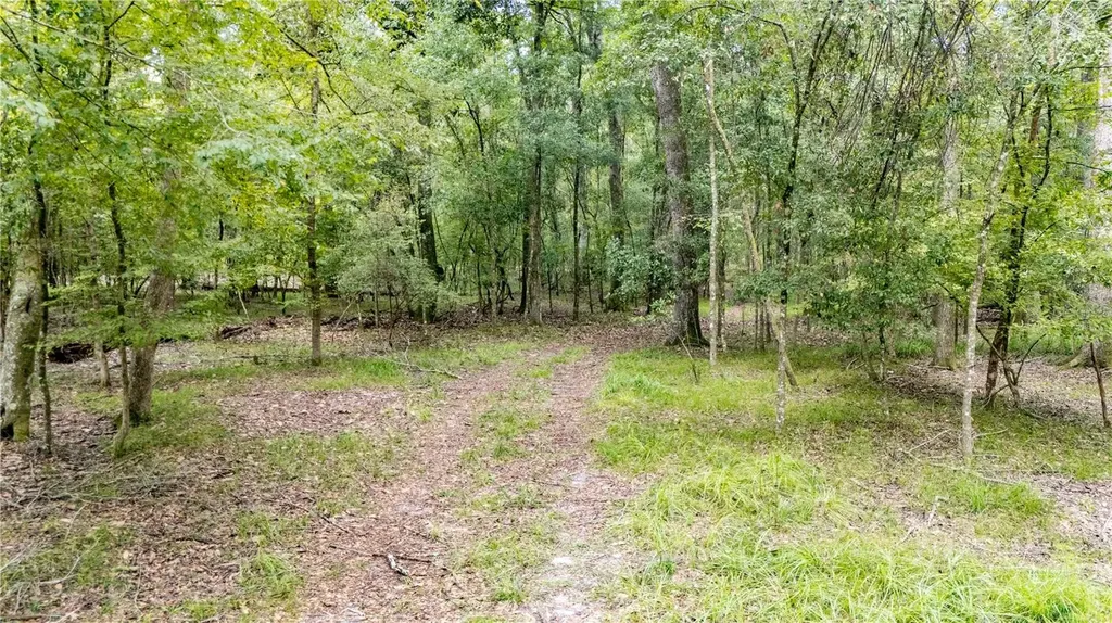 26840 NW 206th Place High Springs FL 32643
