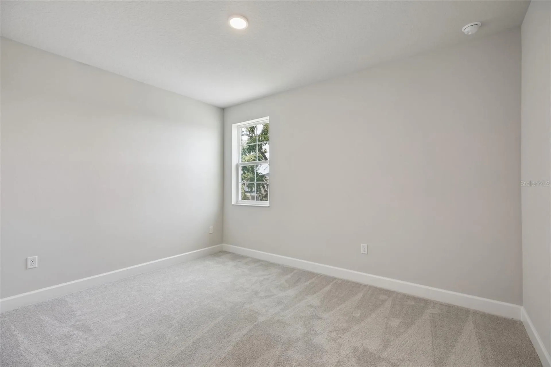 3802 Wolves Creek Place Apopka FL 32712