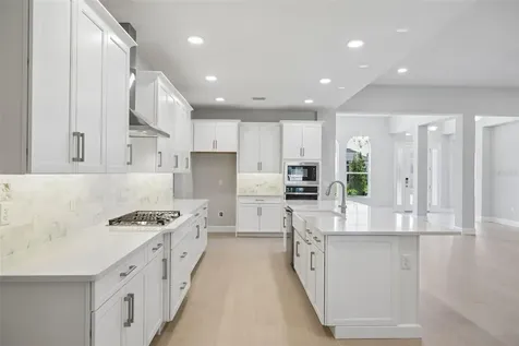 3802 Wolves Creek Place Apopka FL 32712