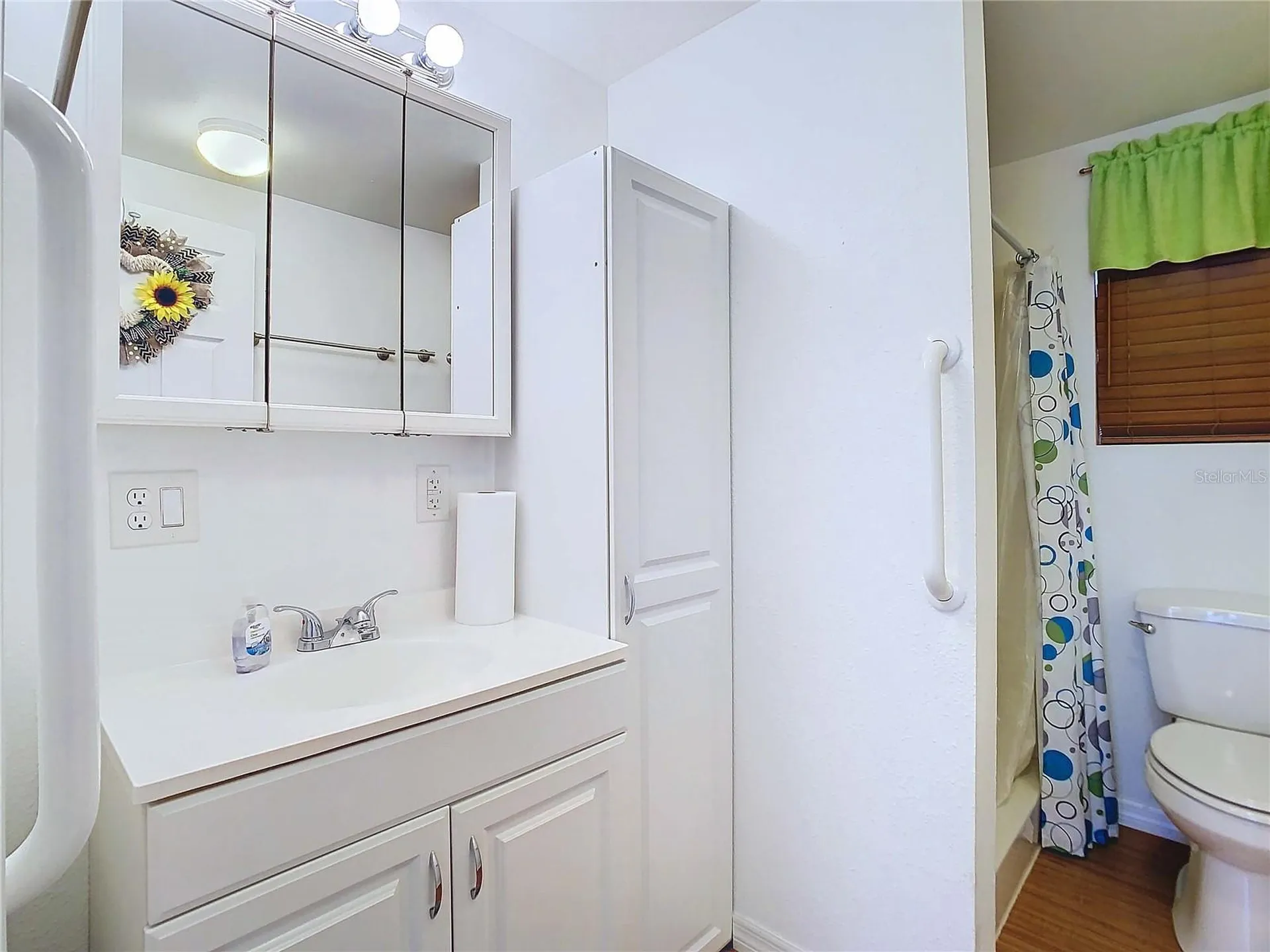 3521 Pyrite Drive Zephyrhills FL 33540