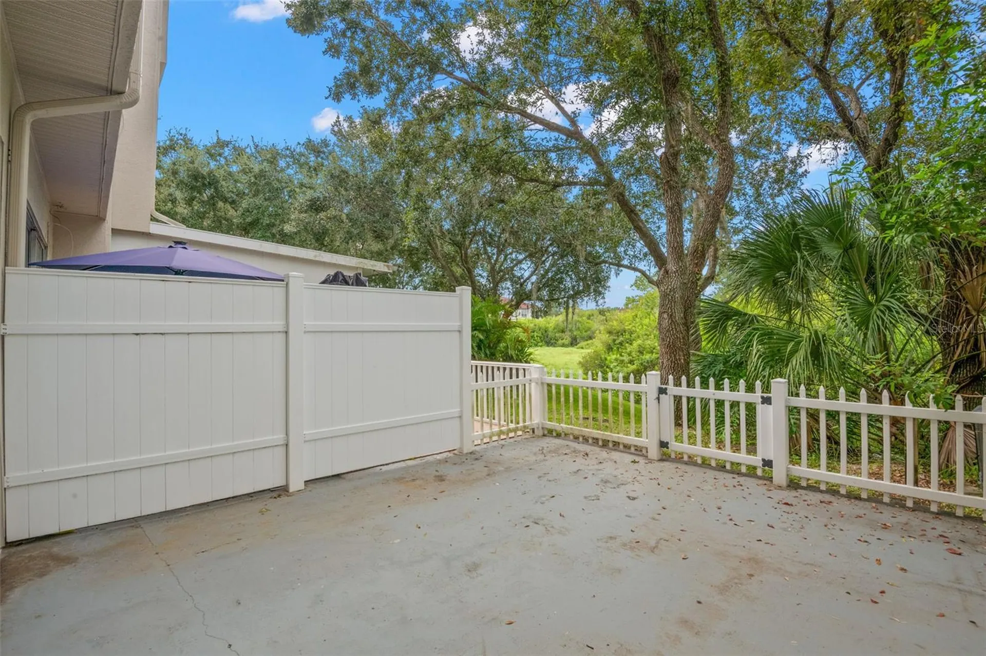 1644 Arabian Lane Palm Harbor FL 34685
