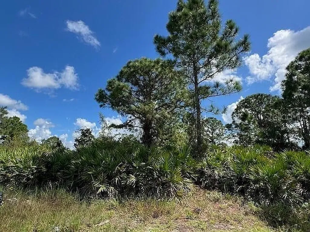 1253 Barnet Avenue Fort Myers FL 33913