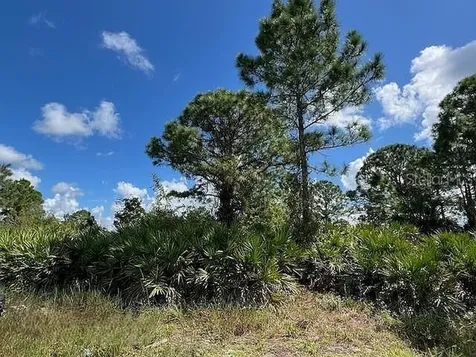 1253 Barnet Avenue Fort Myers FL 33913