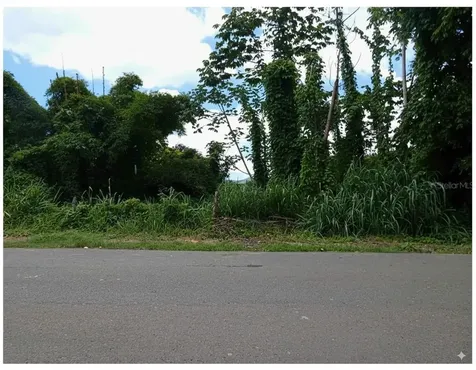 Sr 108 Km 7.4 Rio Cañas Wd Anasco PR 00610
